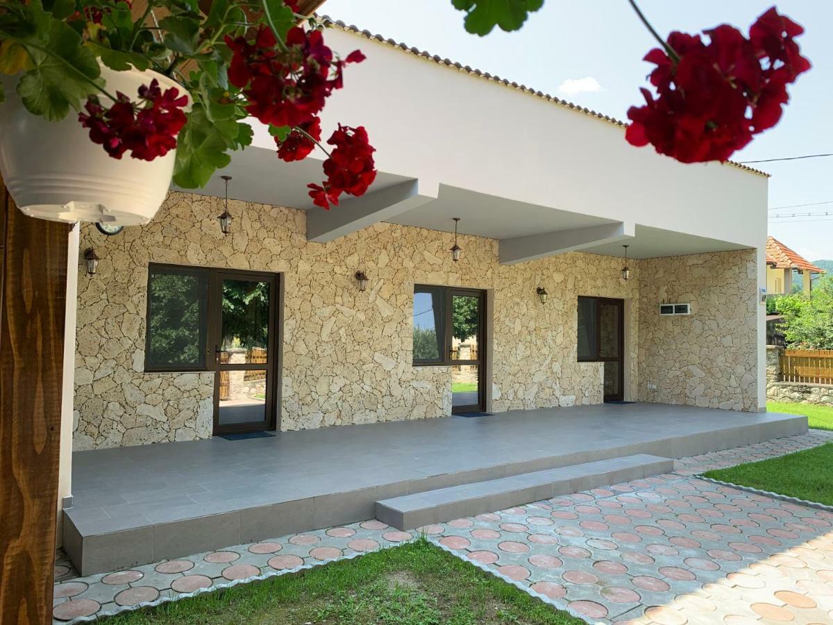 Casa Roka Διαμέρισμα Ieşelniţa Εξωτερικό φωτογραφία