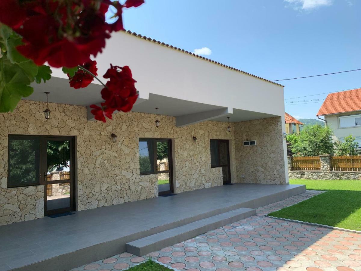 Casa Roka Διαμέρισμα Ieşelniţa Εξωτερικό φωτογραφία